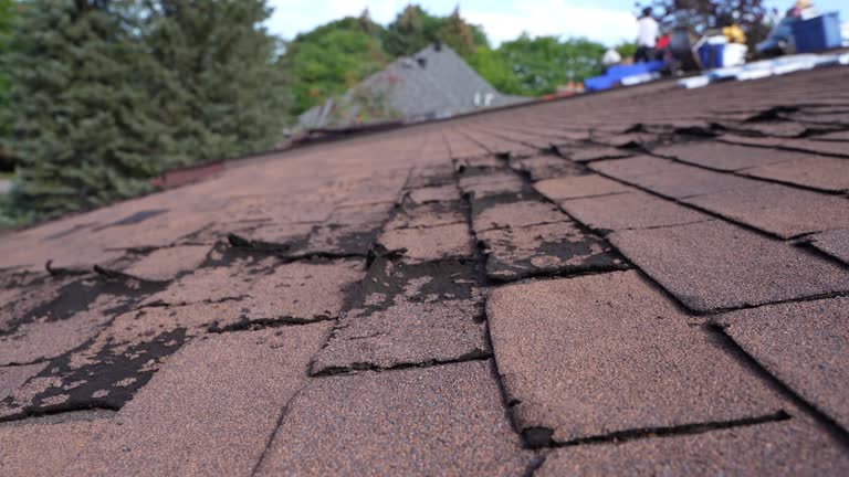 Wapakoneta, OH Roofing Company