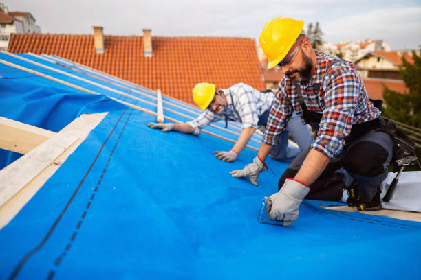Best Metal Roofing Installation  in Wapakoneta, OH
