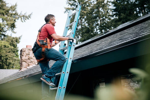 Best Rubber Roofing (EPDM, TPO)  in Wapakoneta, OH